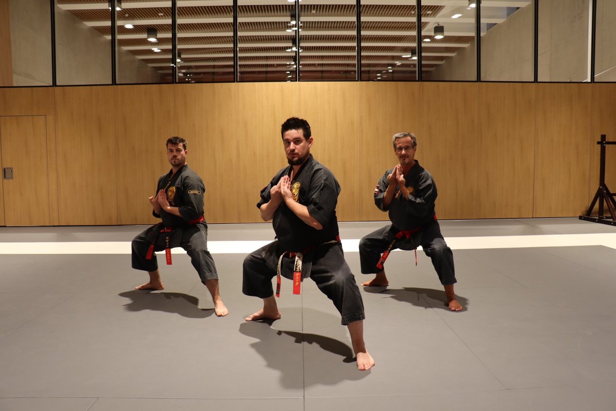 Équipe d’instructeurs de Karaté Goshindo Evolution à Genève