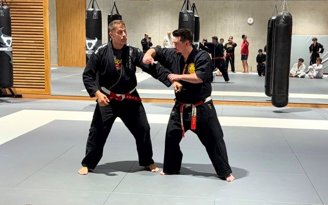 Alain Moussi pendant le stage au dojo