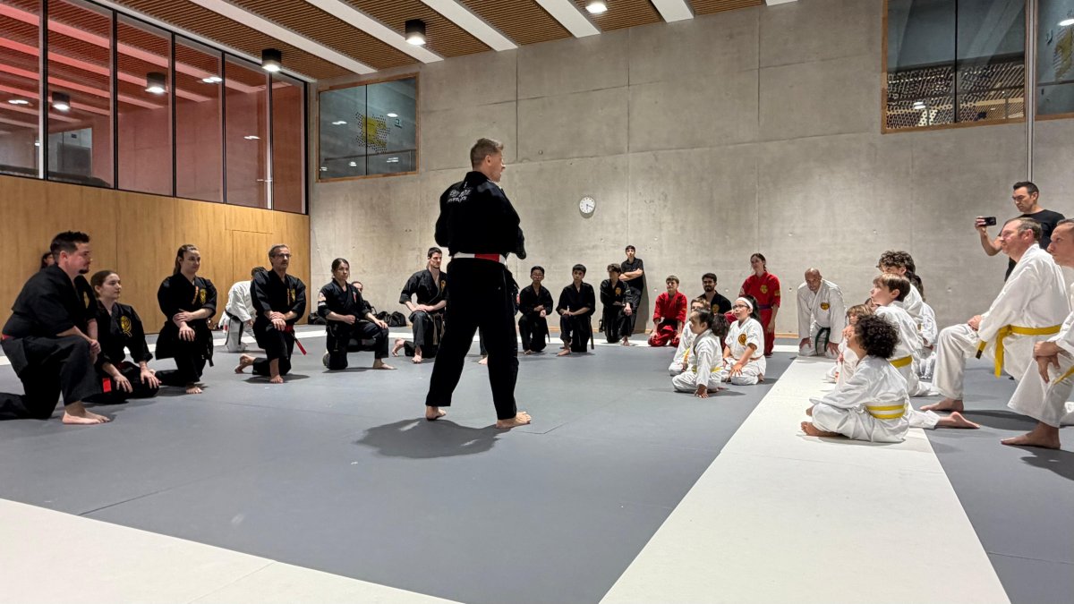Enseignement technique avec Alain Moussi