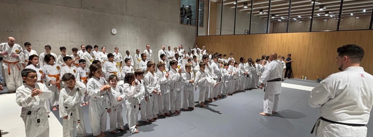 Cours de karaté enfants et adultes à Genève - Karaté Goshindo Evolution