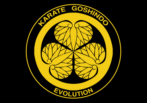 Karaté Goshindo Evolution